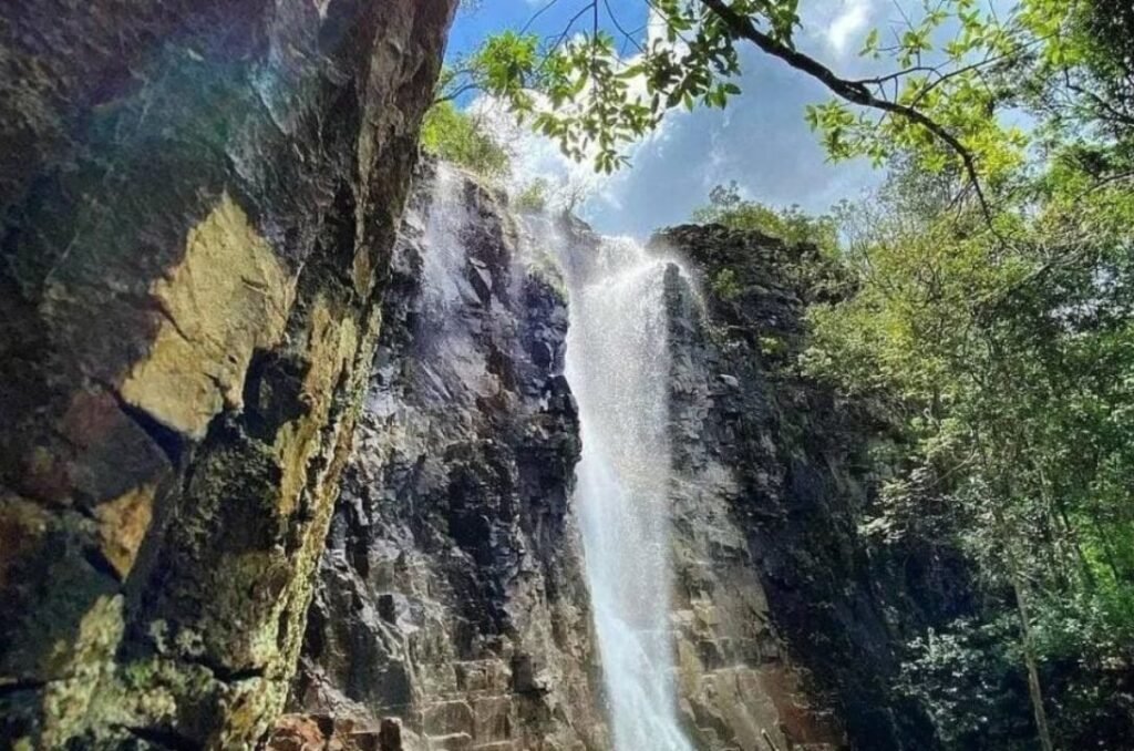 Imagem do WhatsApp de 2025 07 06 as 14.18.56_9e65fd35