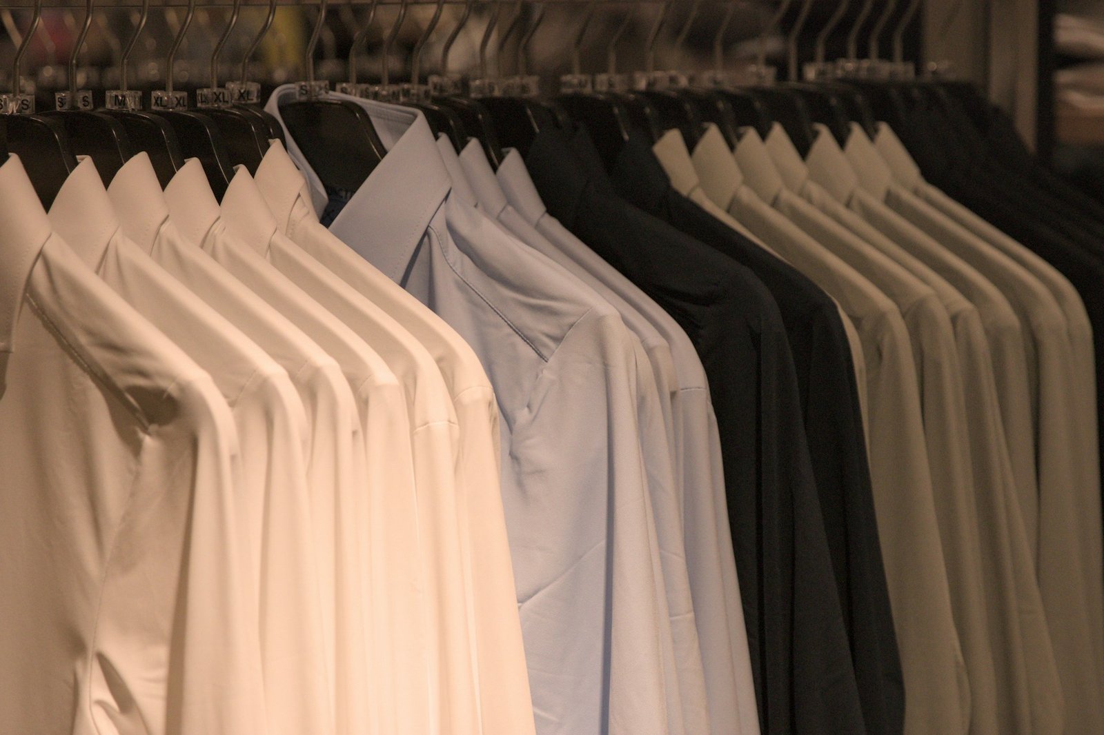 ivona roz zkmohtvGdUk unsplash